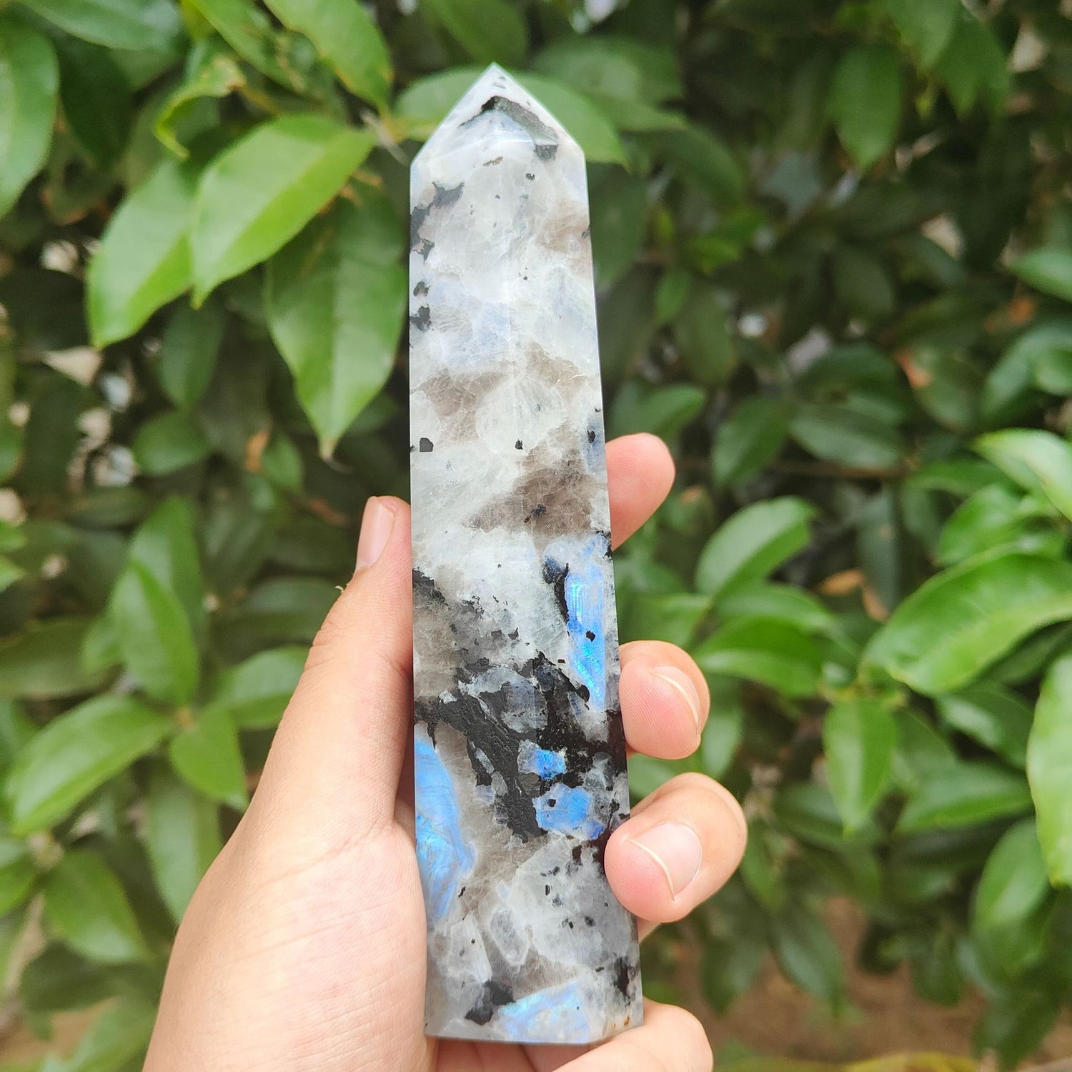 300g | Natural Crystal Labradorite Blue Moon stone Pointed Pillar Decorative