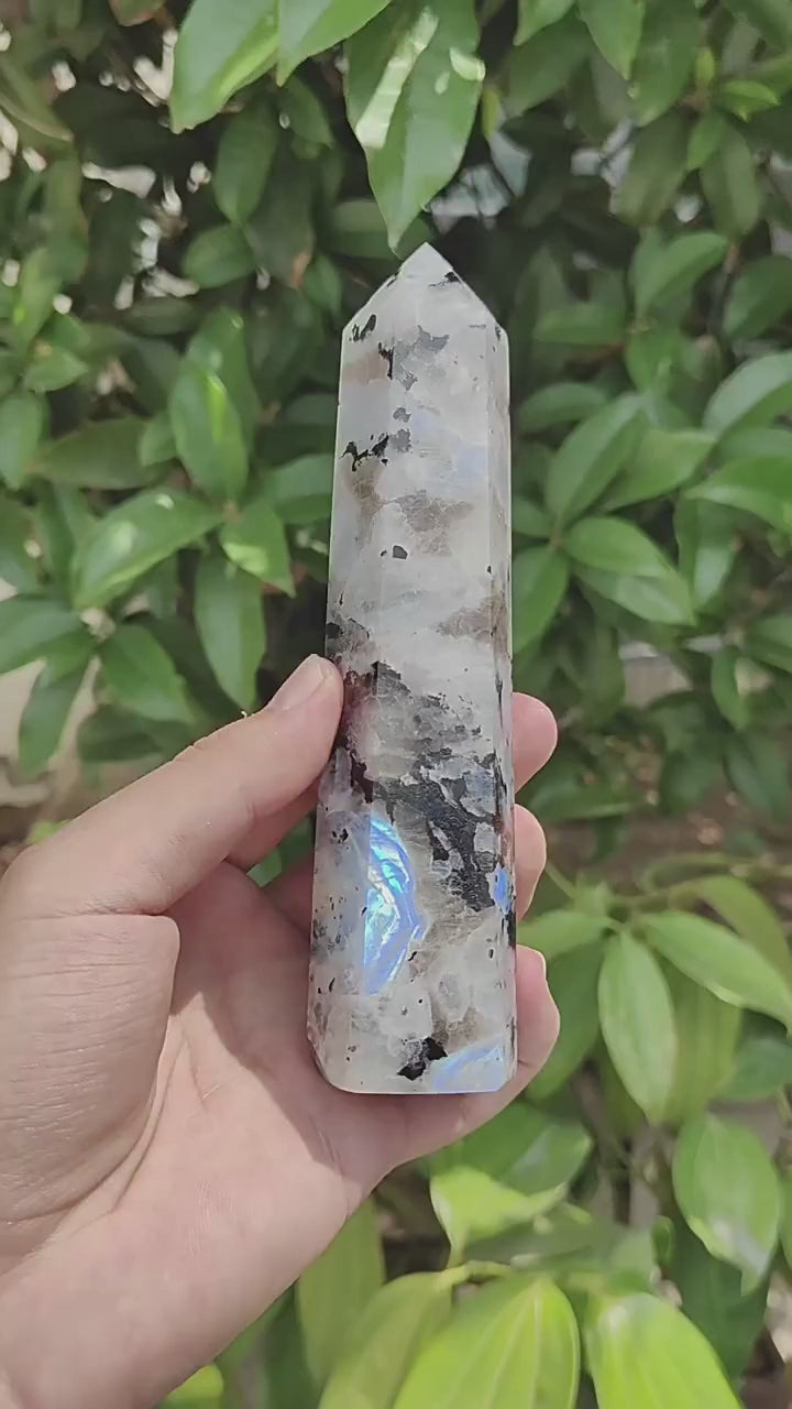 300g | Natural Crystal Labradorite Blue Moon stone Pointed Pillar Decorative